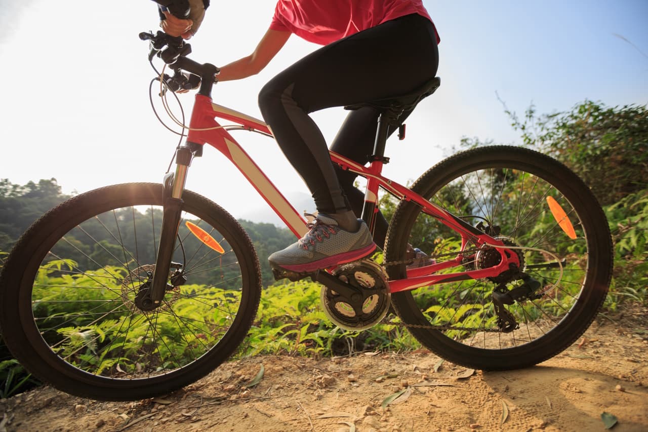 Kungsberget åka mountainbike cykling (mtb) på våren/sommaren
